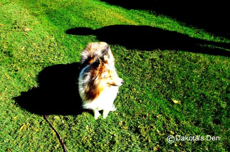 Dakota me and my shadow