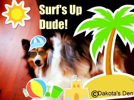 dakota surfs up