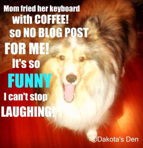 dakota mom fried keyboard