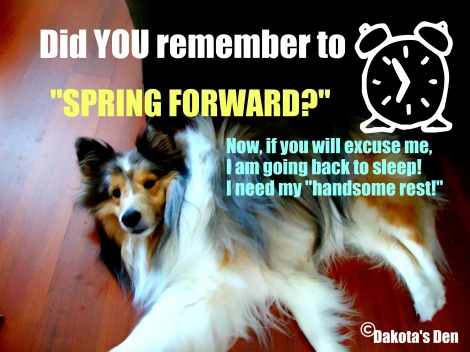 dakota spring forward