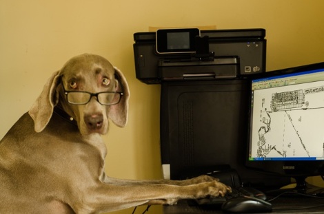 Pup Protector dog typing