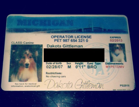 Dakota drivers license