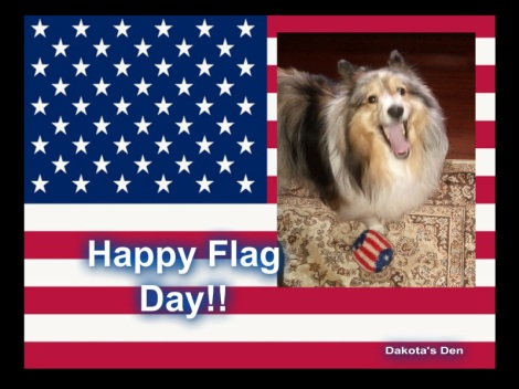 dakota flag day