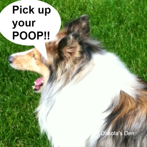 dakota pick up your poop